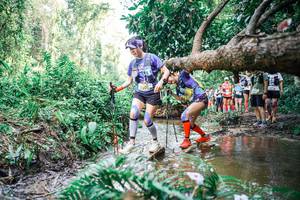 BIB: 
                            <button type="button" onclick="openModal(25516075)" class="btn btn-primary btn-sm float-right btn-popup" data-toggle="modal" data-target=".modal-high-quality">
                        <i class="fas fa-shopping-cart"></i> Add to Cart
                    </button>
                                            <button type="button" onclick="isThisMe(25516075, true)" class="btn btn-success btn-sm float-right btn-popup btn-isme hidden" data-toggle="tooltip" data-placement="bottom" title="นี่คือรูปของคุณใช่ไหม คลิกที่นี่เพื่อเอาเข้าอัลบั้ม">
                        <i class="fas fa-plus"></i> Add to album
                    </button>
                    <button type="button" onclick="isThisMe(25516075, false)" class="btn btn-warning btn-sm float-right btn-popup btn-isnotme hidden">
                        <i class="fas fa-ban"></i> Remove from album
                    </button>